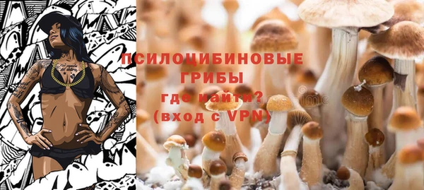 ECSTASY Баксан