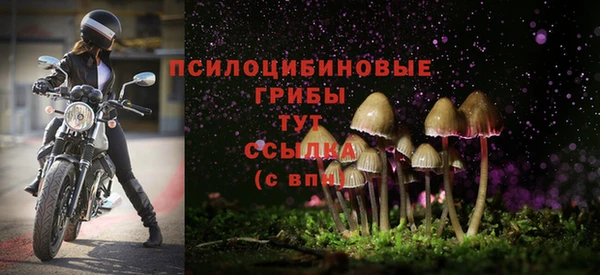 2c-b Балахна