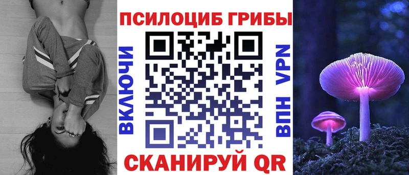 где купить   Судогда  Галлюциногенные грибы мухоморы 