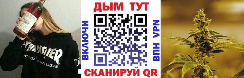 Шишки марихуана план  Судогда 